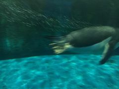 -泉城欧乐堡戏水湾艺术养生温泉