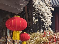 -灵谷景区
