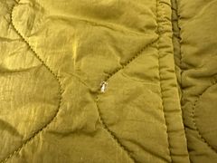 -福奈特洗衣·洗鞋·奢侈品护理(宝山一二八纪念路店)