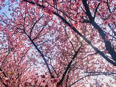 -白塘生态植物园