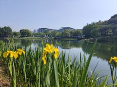 -尚贤河湿地