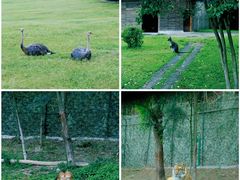 -乐和乐都主题乐园