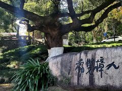-中国美术学院象山校区-民艺博物馆