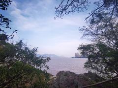 -江心屿景区