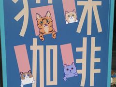 -飞行喵MR PILOT|猫舍·猫咖(静安大融城店)