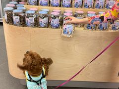 -帕帕拉兹宠物(亚洲旗舰店)