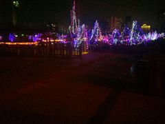 -雁滩公园