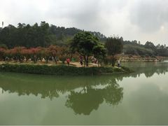 -南国桃园旅游度假区