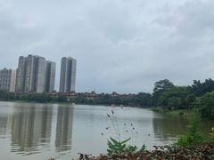 -美的鹭湖森林度假区