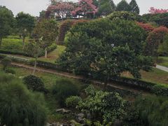 -东莞植物园