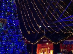 -锦江乐园舞狸花花游园会(夜场专享)