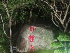 -野狸岛