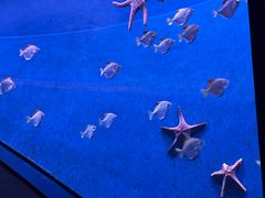 -沈阳海洋探索中心