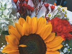 -循礼门鲜花花市(武汉循礼门店)