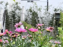 -山塘渡·苏式园林餐厅