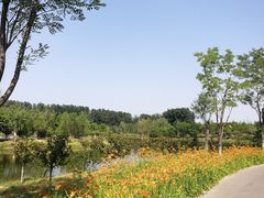 -东郊湿地公园