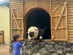 -HERRE·FARM 赫尔露营农场·团建聚会包场