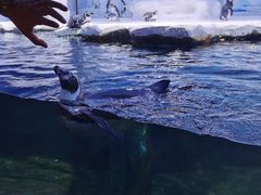 -北海海底世界