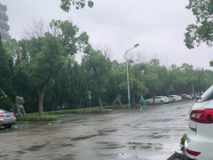 -奉贤海滩