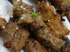 -老蚌埠烤串·新派烧烤·油边王(工农路店)