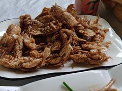 椒盐皮皮虾-宾朋海鲜美食餐厅·特色美食(兴海路店)