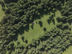 -空中草原