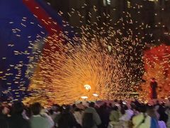 -海合安武汉极地海洋公园