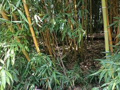 -望江楼公园