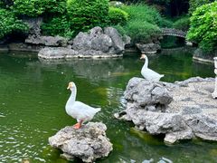 -祝家花園(伯渎港店)
