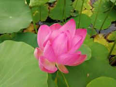 -云居湖