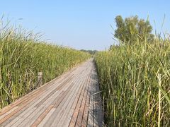 -马家湾湿地公园