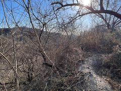 -北京西山国家森林公园