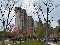 -新江湾城公园