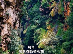 -马岭河峡谷风景区
