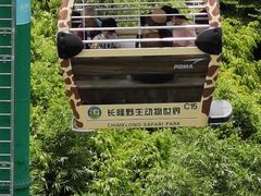 -美食小镇·观赏珍稀鸟类·长隆熊猫酒店