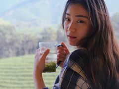 白茶叶卷-白茶原·一片叶子