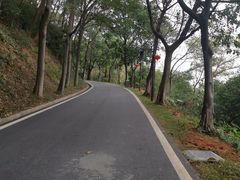 -广州雕塑公园