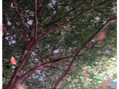 -吴山路夜市
