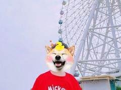 -琴岛之星摩天轮