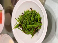 油鸡枞拌辣木苗-马旺子酒楼