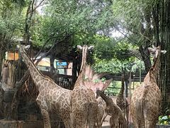 -长鹿旅游休博园
