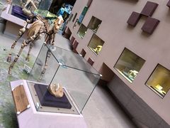 -陕西自然博物馆