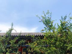 -静一餐厅·湖北菜(前门创始店)