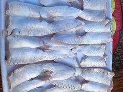 -章记正宗南岗鱼蛋火锅