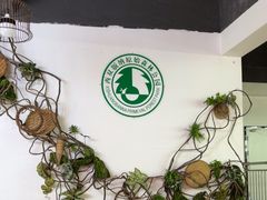 -西双版纳原始森林公园