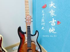 -大象音乐·吉他·架子鼓·声乐(双井店)