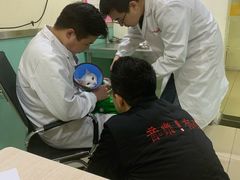 -米苏动物医院·犬猫专科·骨科外科内窥镜