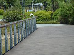 -飞凤山奥体公园