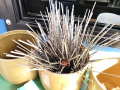 -景泰马记电烤串(景泰店)