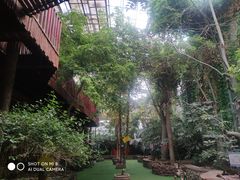 -呀路古热带植物园